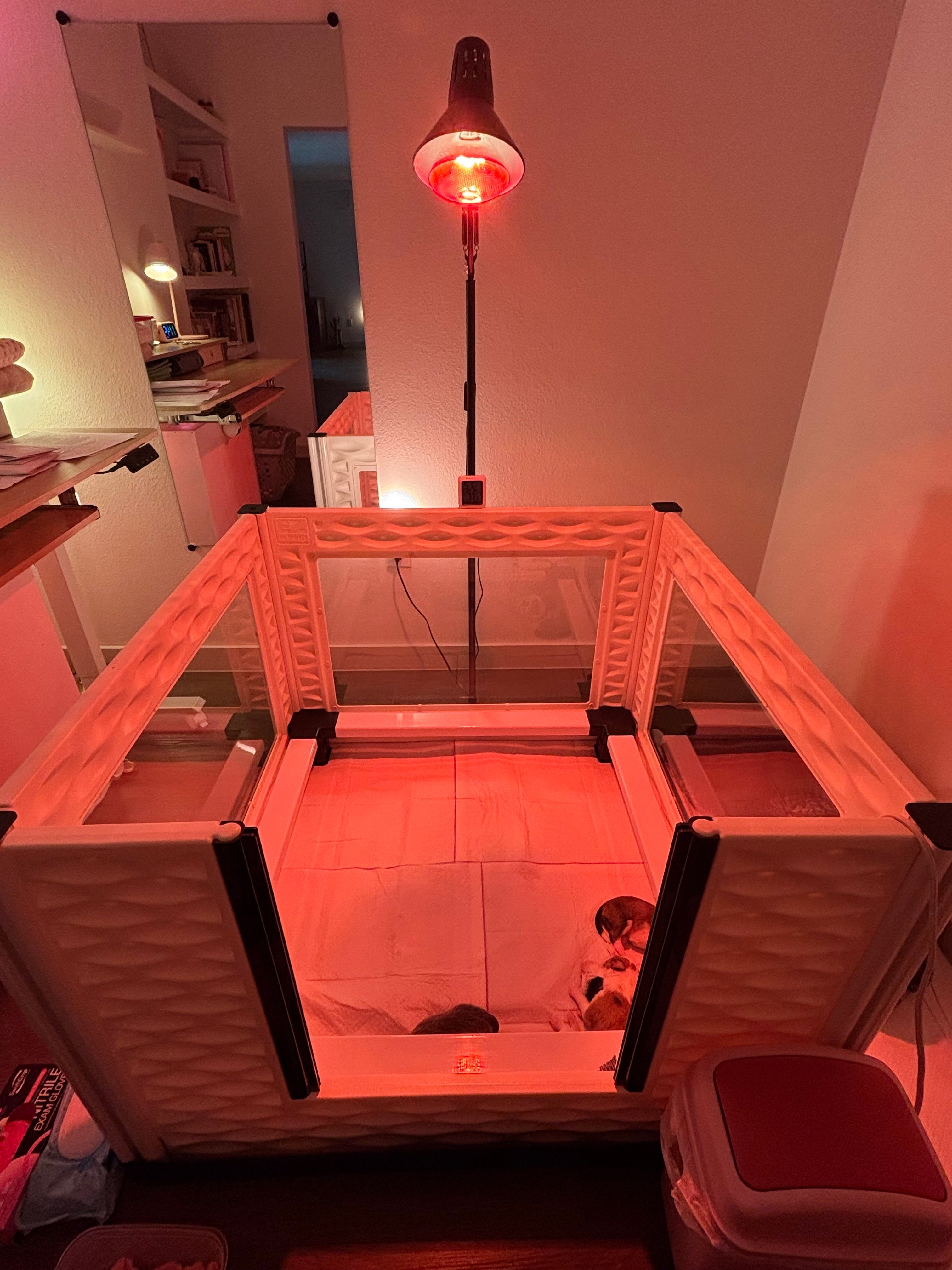 EZclassic TALL Windowed Whelping Box Set w/Rail Assembly