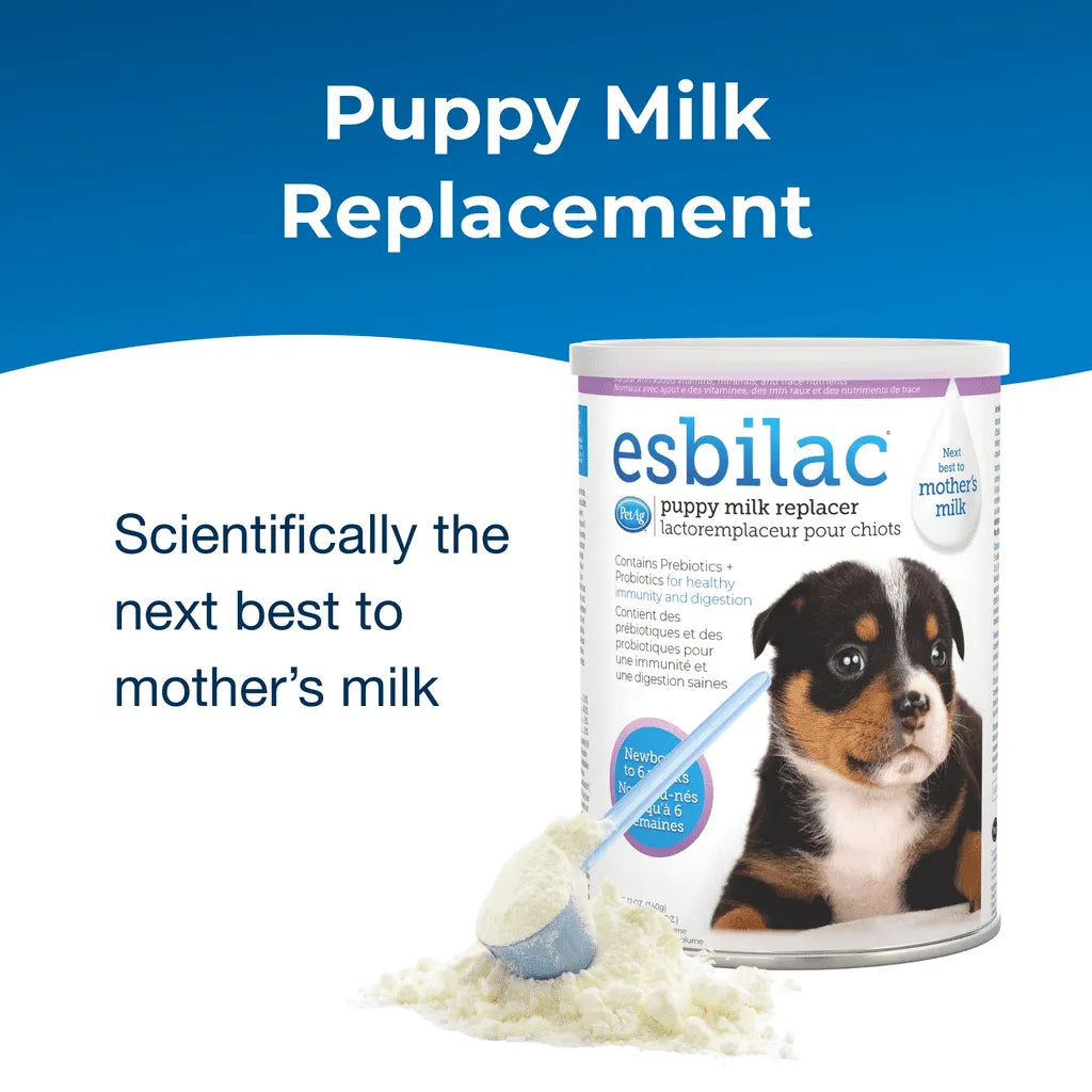 Milk Replacer