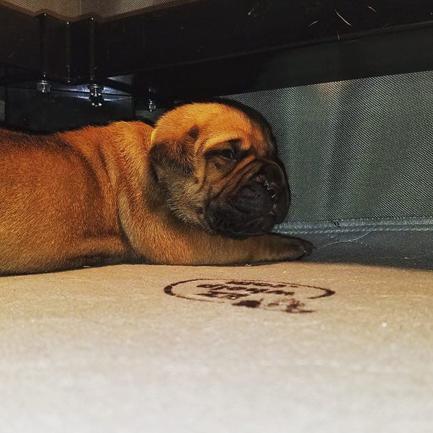 FAB Rail System 2.0 – Tool-Free Pig Rails for Whelping Boxes