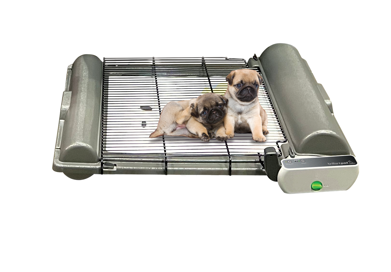 BrilliantPad Professional with Grate Bundle for Breeders – EZwhelp