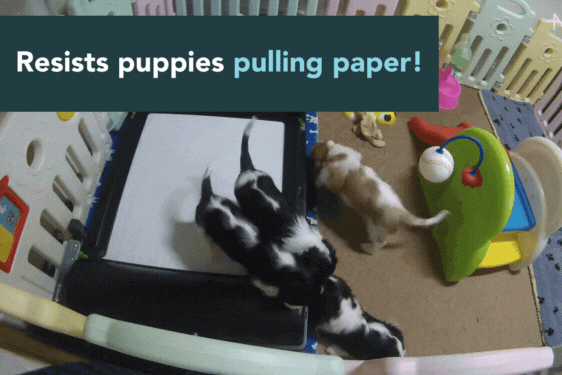 BrilliantPad Professional System for Breeders