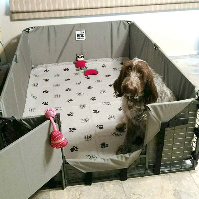 Fab System Whelping Box