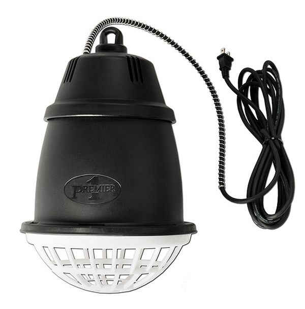 Rengør rummet Flad storhedsvanvid Prima Heat Lamp w/ Infrared Bulb - EZwhelp