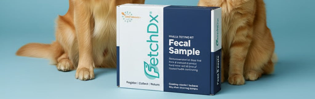 Health Testing Kits