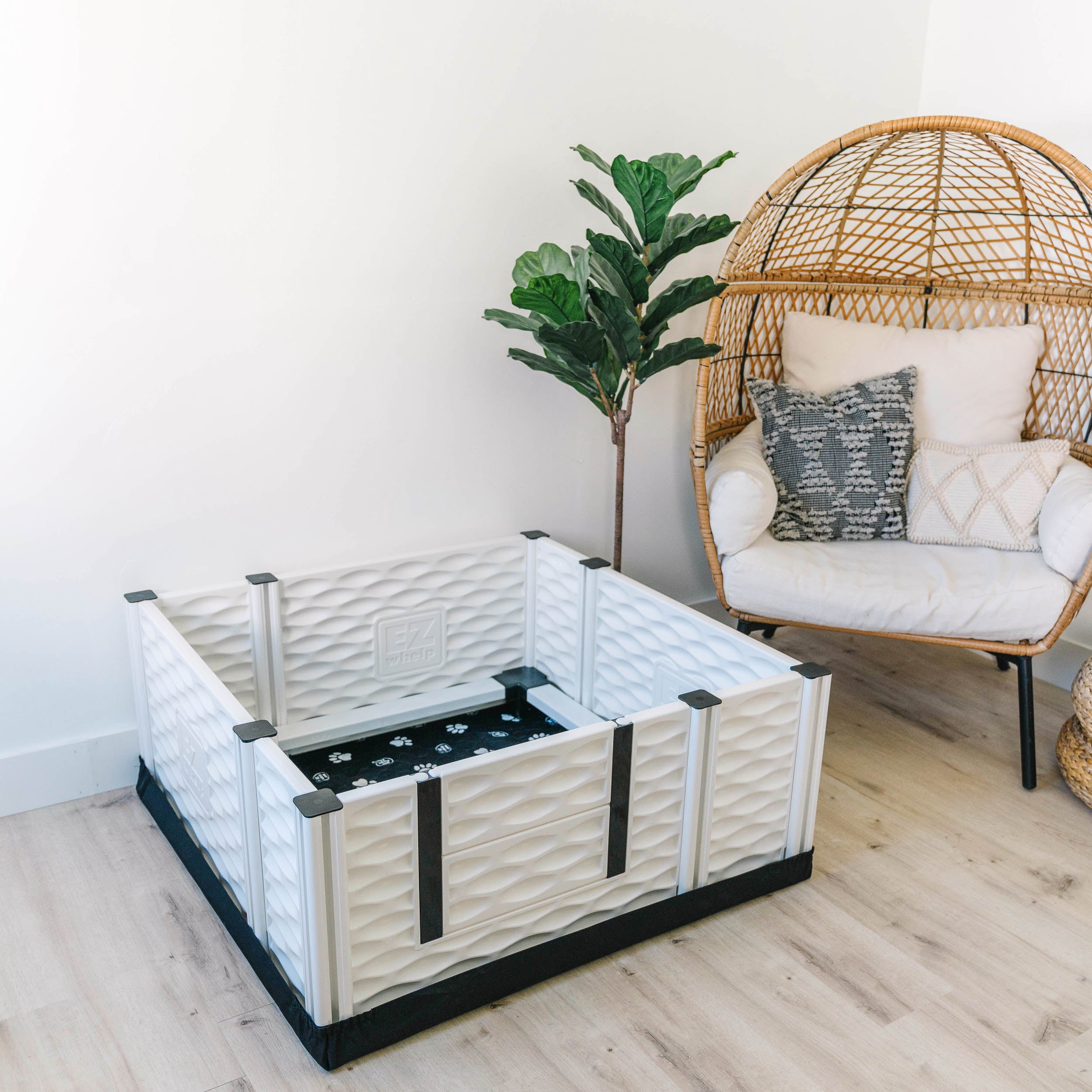 Whelping Boxes – EZwhelp