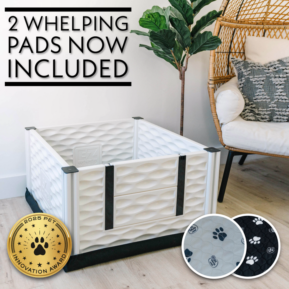 Dog Whelping Box Kit | EZclassic Box with Rails & Pads – EZwhelp
