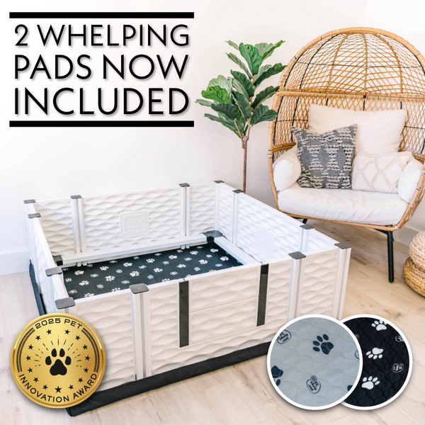 Dog Whelping Box Kit | EZclassic Box with Rails & Pads – EZwhelp