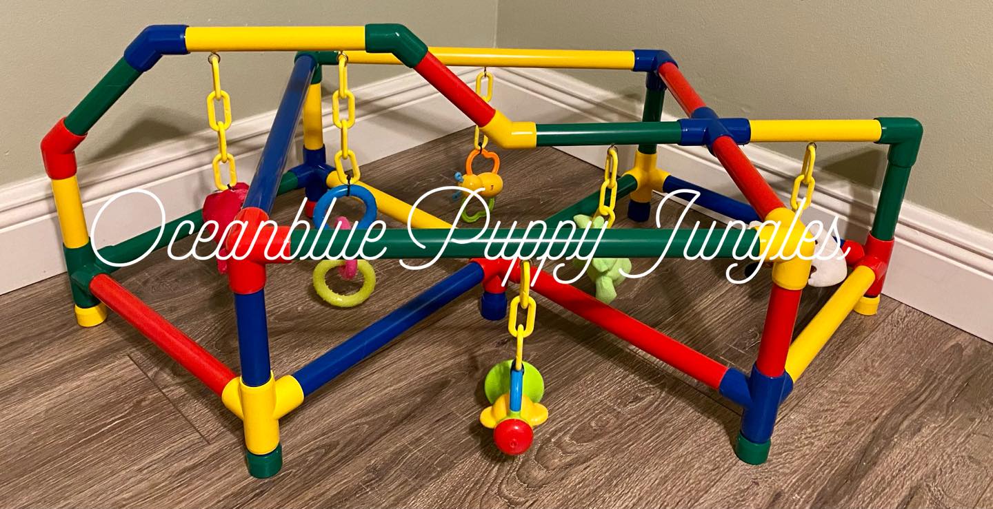 Puppy Jungle Gym - Small