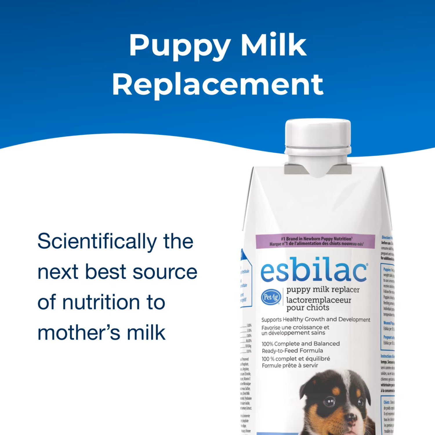 Milk Replacer