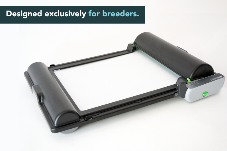 BrilliantPad Professional with Grate Bundle for Breeders