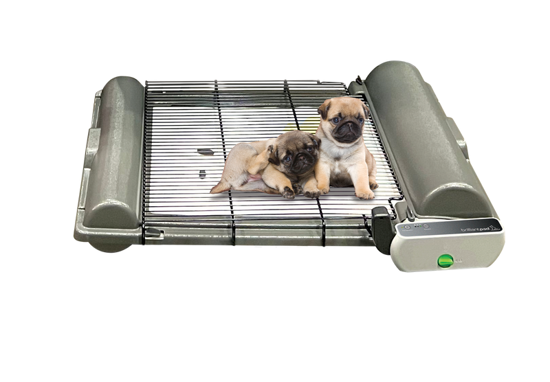 BrilliantPad Professional with Grate Bundle for Breeders