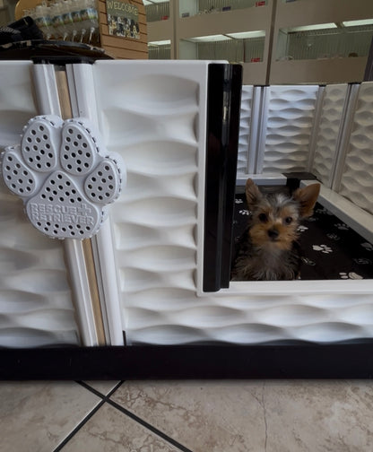 Rescue Retriever Smoke Detector for Pets