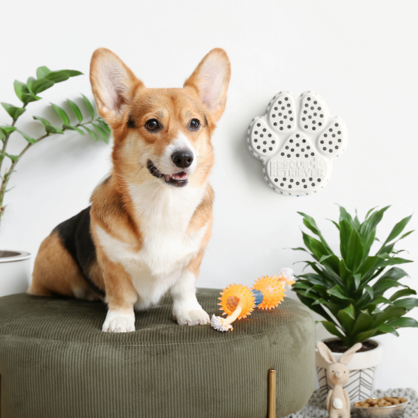 Rescue Retriever Smoke Detector for Pets