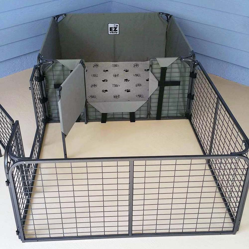 Whelping Box W/ Add on Whelping Room